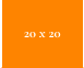20 x 20